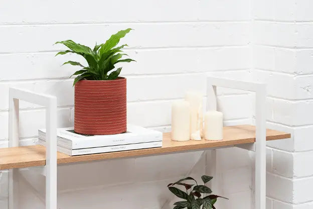Ethical and sustainable Mother’s Day gift idea featuring a green plant in a red recycled pot on a wooden shelf with white candles and books against a white brick wall