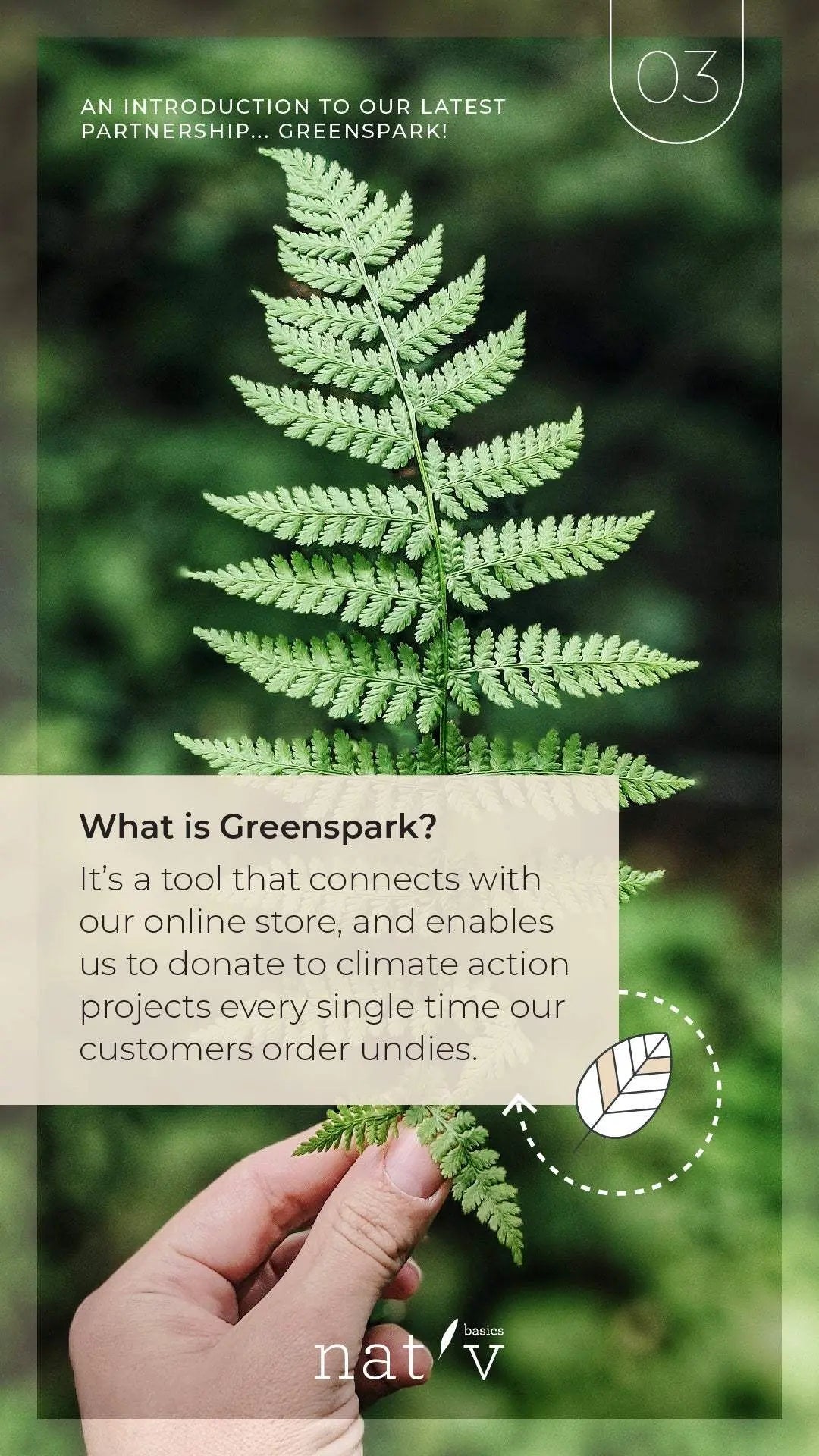 Green fern leaf with text about Greenspark partnership enabling climate donations through online orders by Nat'v Basics