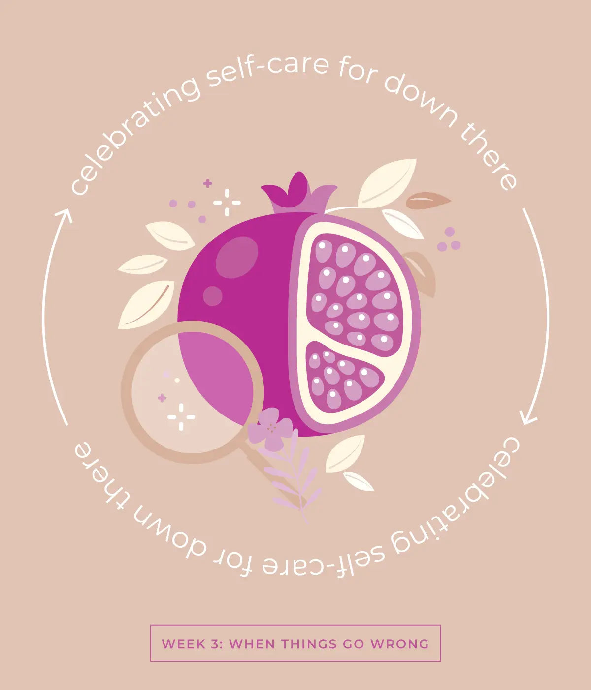 Illustration of a pomegranate with decorative leaves and flowers surrounded by circular text celebrating self-care for down there.
