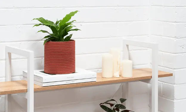 Ethical and sustainable Mother’s Day gift idea featuring a green plant in a red recycled pot on a wooden shelf with white candles and books against a white brick wall