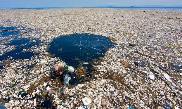 The Ugly Truth About Fast Fashion: Why Your Cheap Clothes Are Costing the Planet (And What You Can Do About It)
