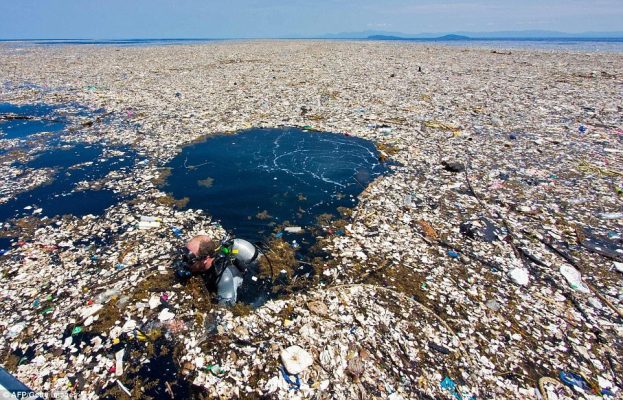 The Ugly Truth About Fast Fashion: Why Your Cheap Clothes Are Costing the Planet (And What You Can Do About It)