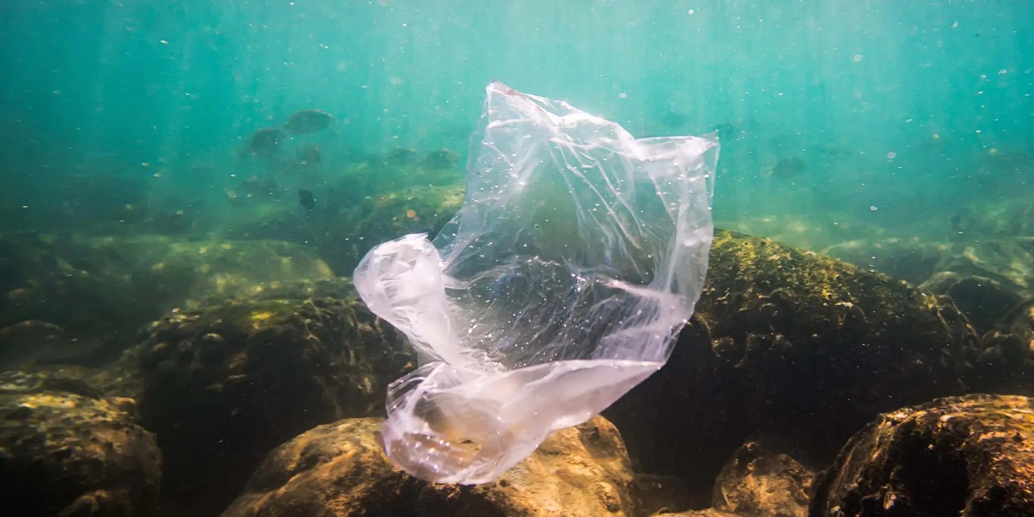 Plastic bag floating underwater above marine rocks symbolizing flaws in Coles and Woolworths recycling programs