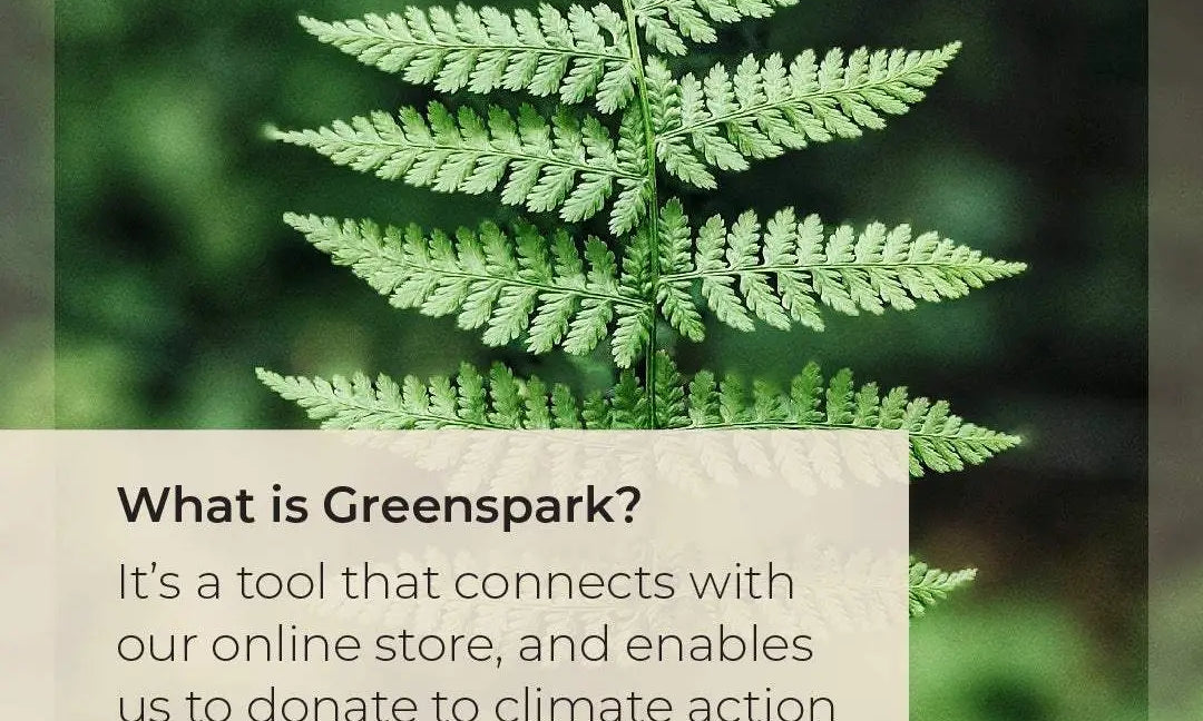 Green fern leaf with text about Greenspark partnership enabling climate donations through online orders by Nat'v Basics