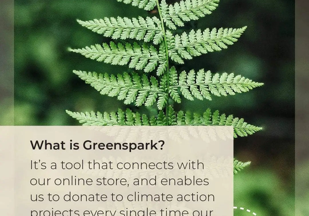Green fern leaf with text about Greenspark partnership enabling climate donations through online orders by Nat'v Basics