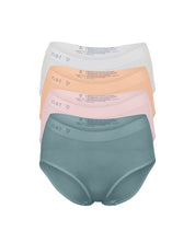 Classic Brief 4 Set