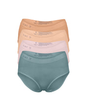 Classic Brief 4 Set